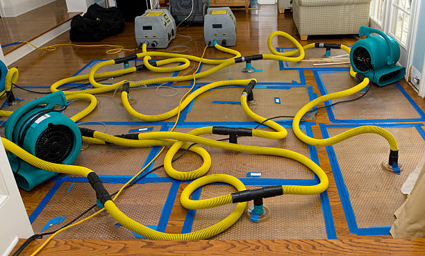 Professional Burst Pipe Water Damage technician working in Newtonville, MA